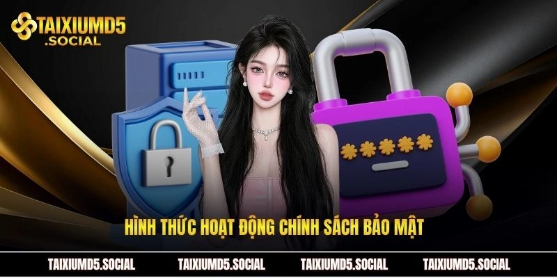 Hình thức hoạt động chính sách bảo mật