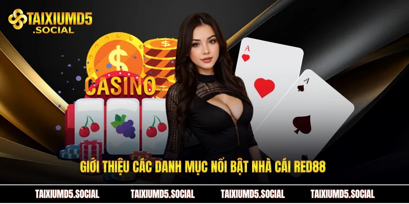 Giới thiệu các danh mục nổi bật Nhà cái Red88