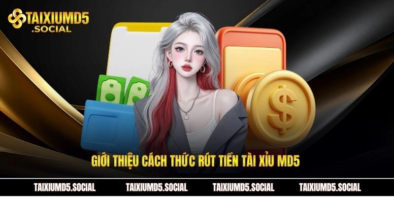 Giới thiệu cách thức rút tiền Tài xỉu MD5