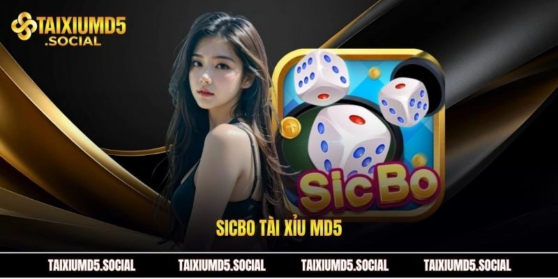 sicbo tài xỉu md5